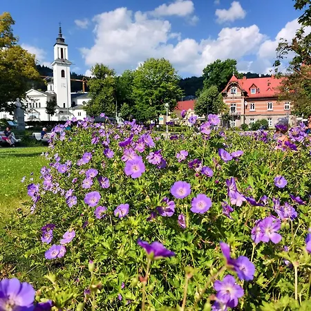Pulaskiego Krynica Zdroj